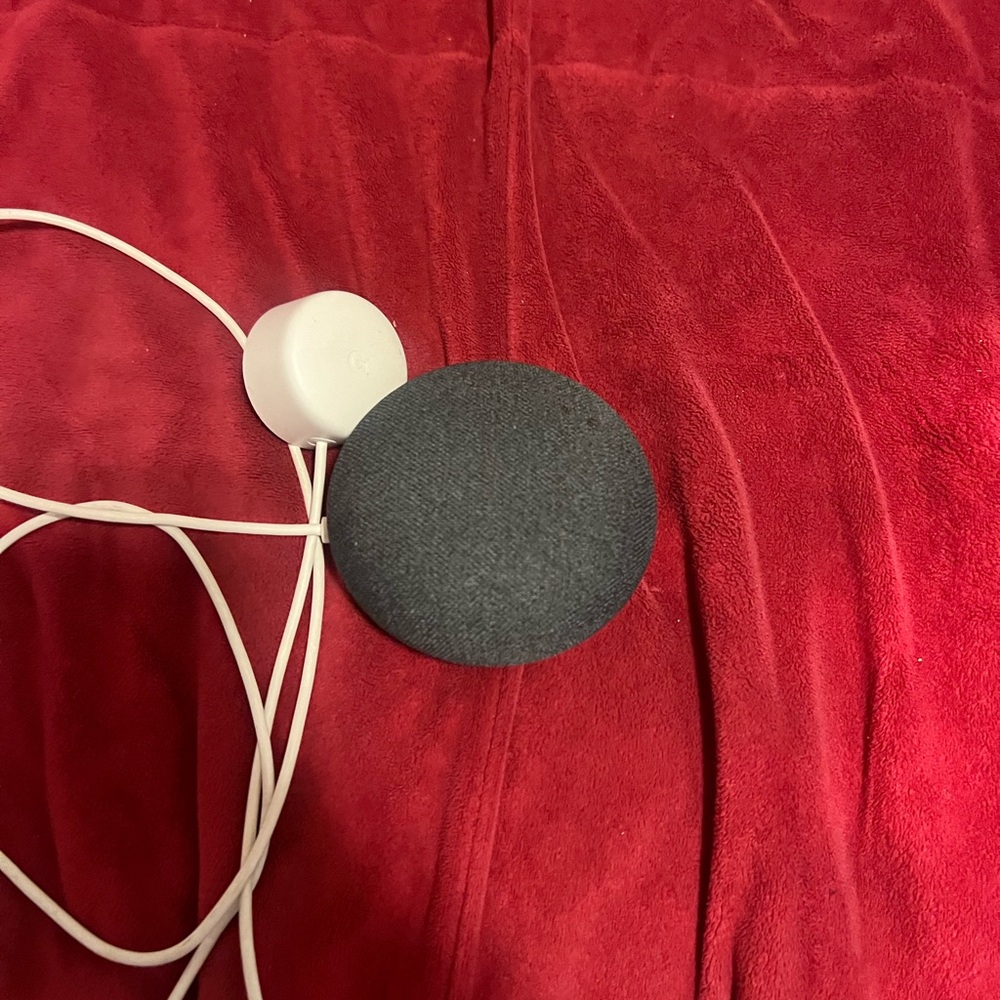 Google nest mini 2
